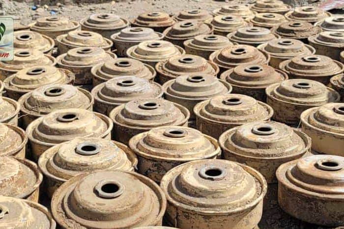 WhatsApp Image 2021 12 19 at 1.34.21 PM