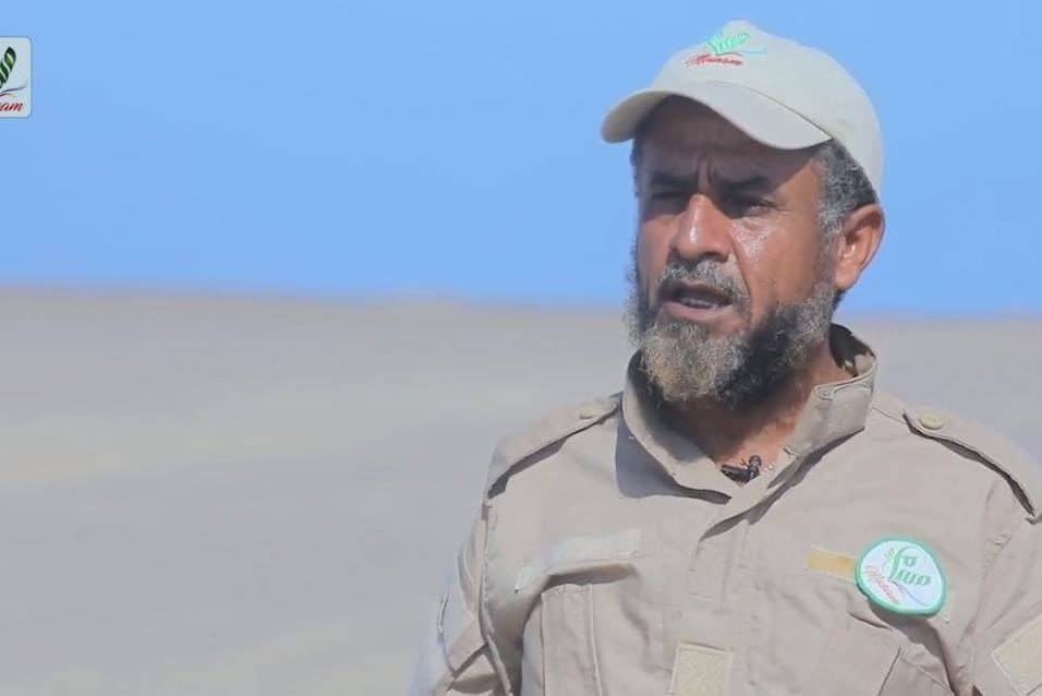 يحيلى عاطف سعيد