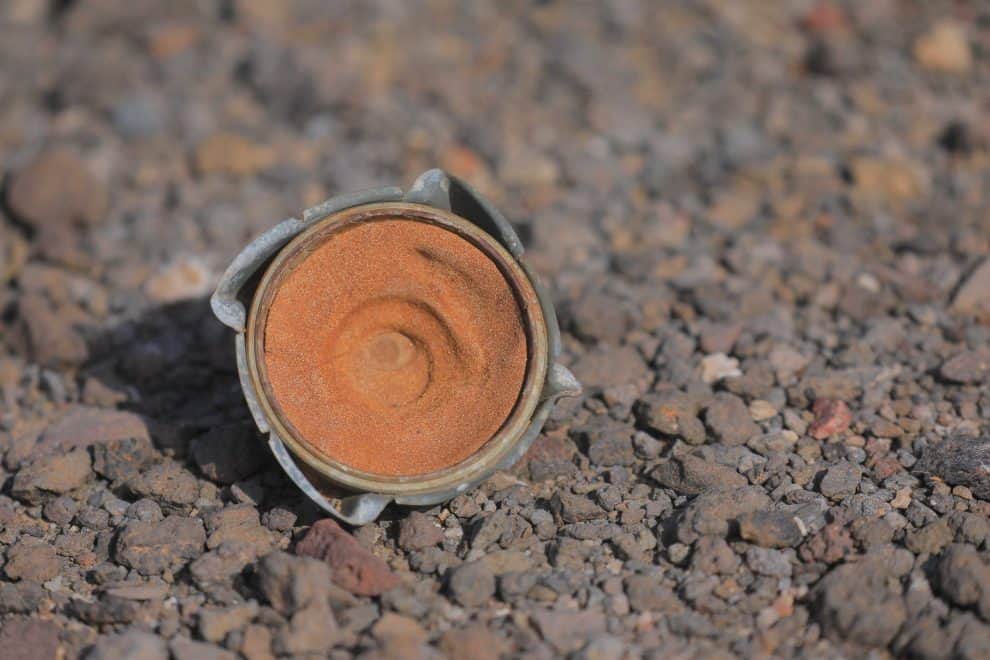 CP7A0476 sm scaled 1