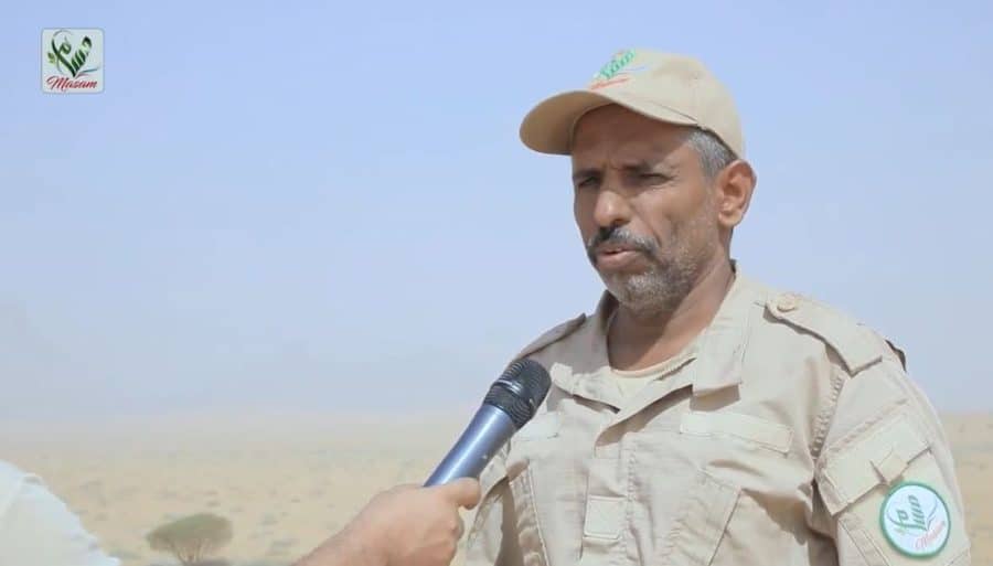 العقيلي