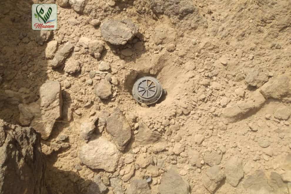 WhatsApp Image 2022 06 01 at 10.01.17 PM