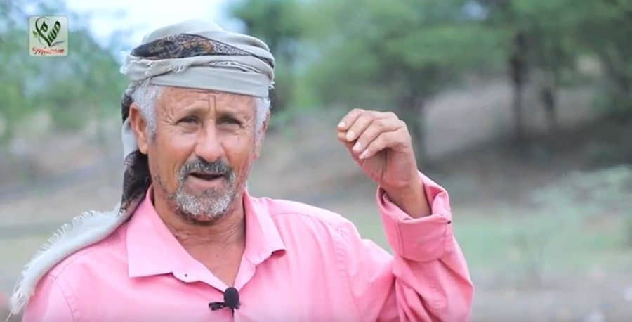 علي محمد ناجي