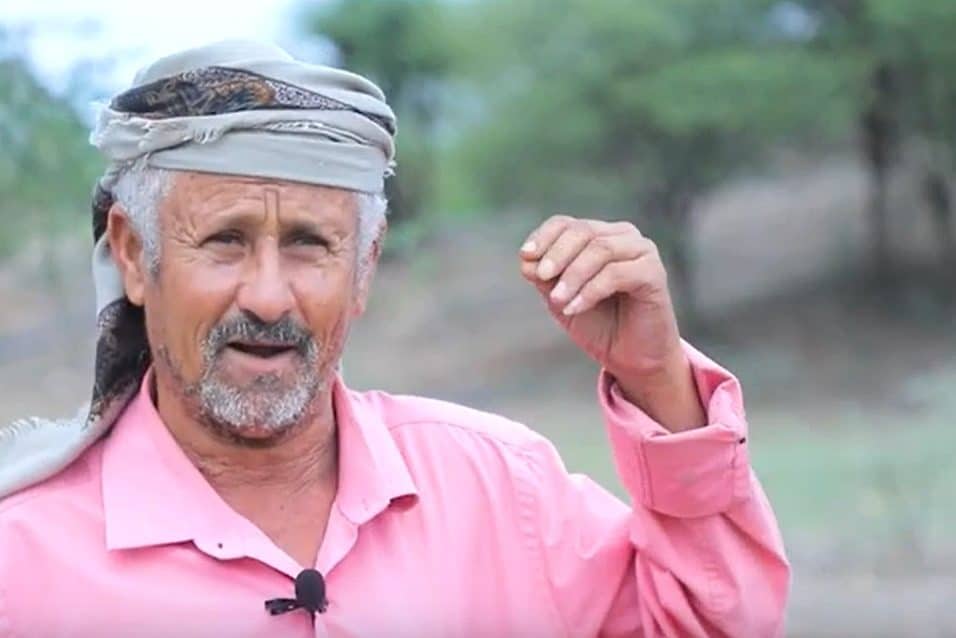 علي محمد ناجي