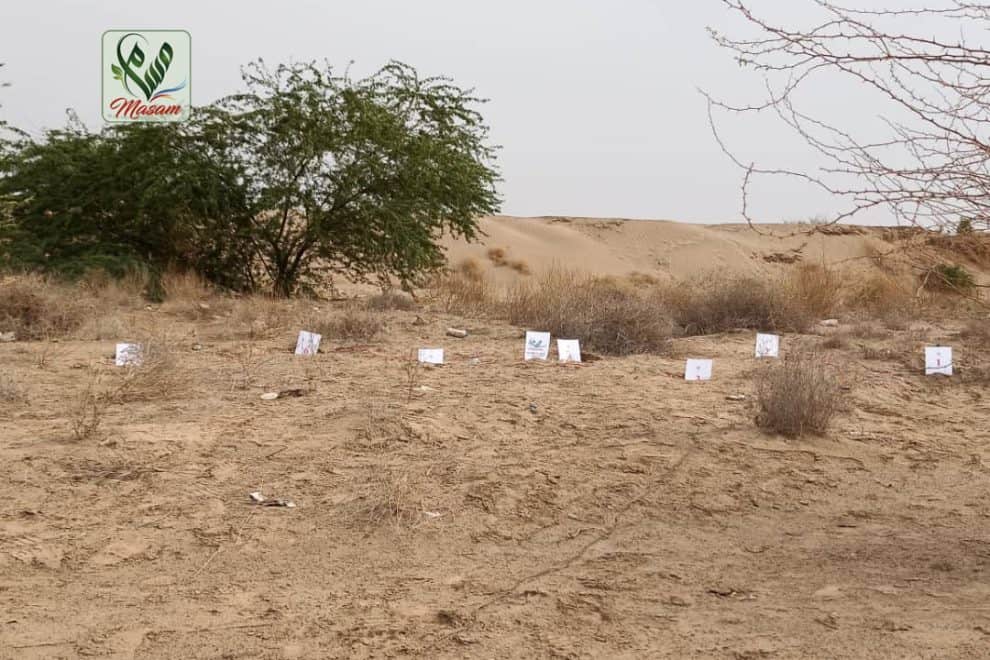 WhatsApp Image 2022 08 09 at 8.10.27 PM