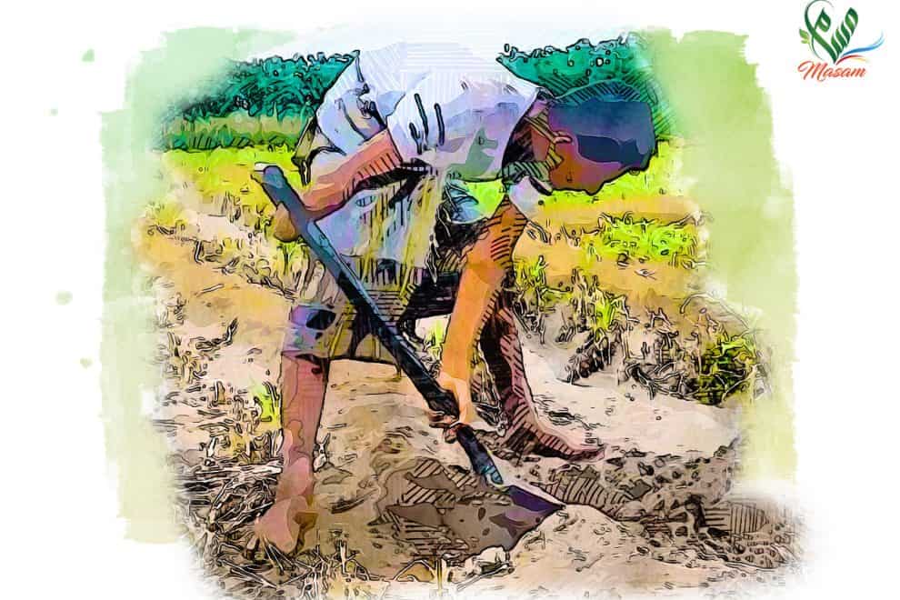 WhatsApp Image 2022 08 16 at 2.11.30 PM1