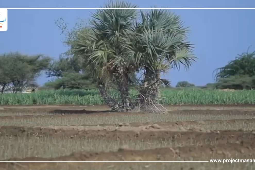 Sequence 20.00 00 27 01.Still049