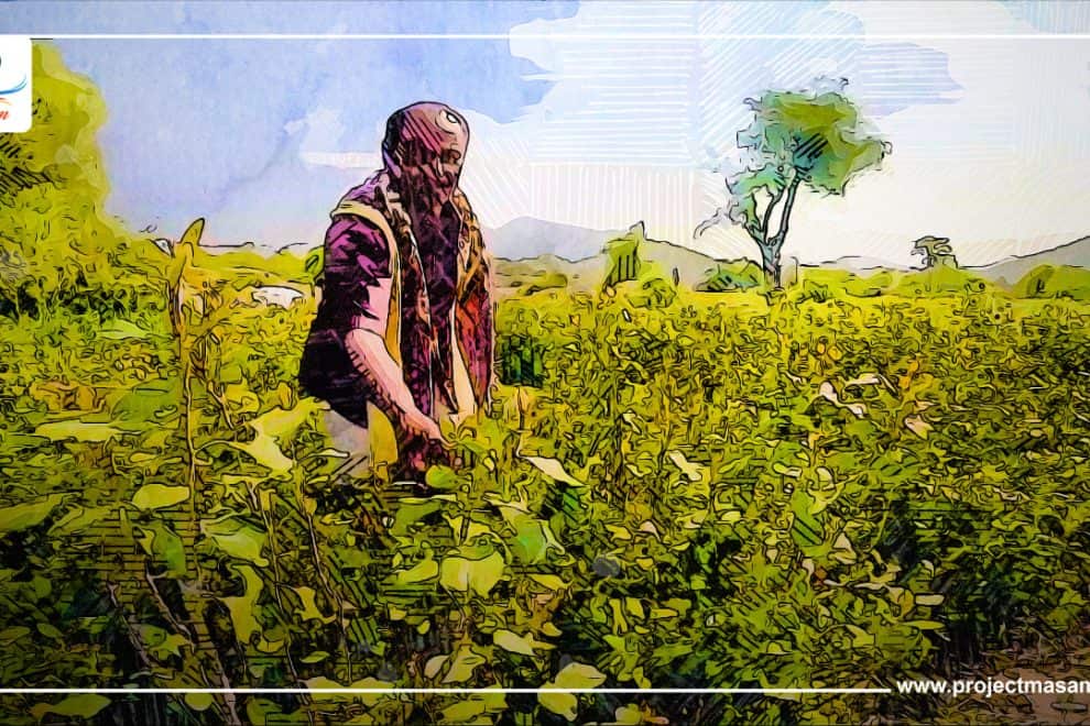 WhatsApp Image 2022 10 10 at 4.13.15 PM