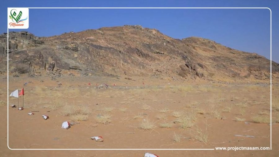 الفريق التاسع مسام ينزع 52 لغماً
