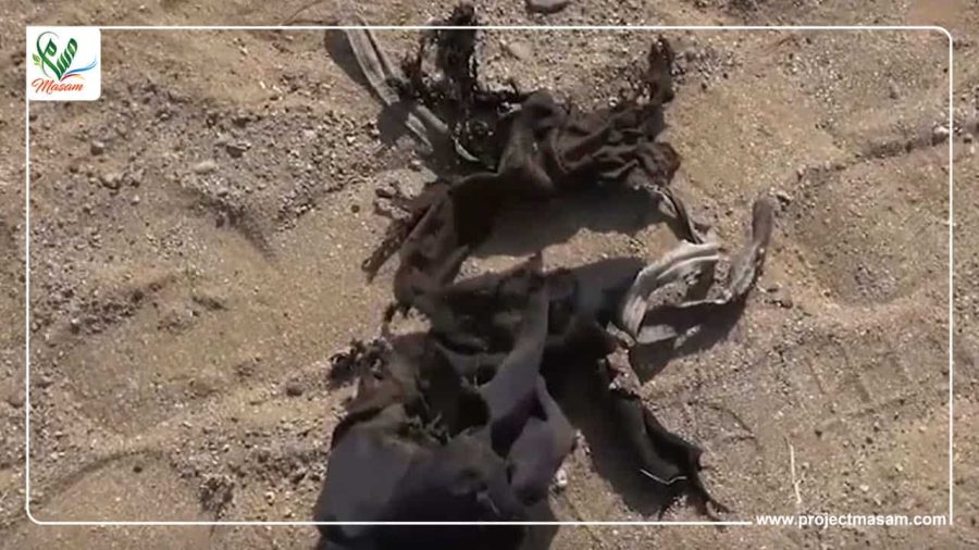 مقتل 3 مدنيين في محافظة الجوف  بانفجار ألغام مقتل 3 مدنيين في محافظة الجوف بانفجار ألغام