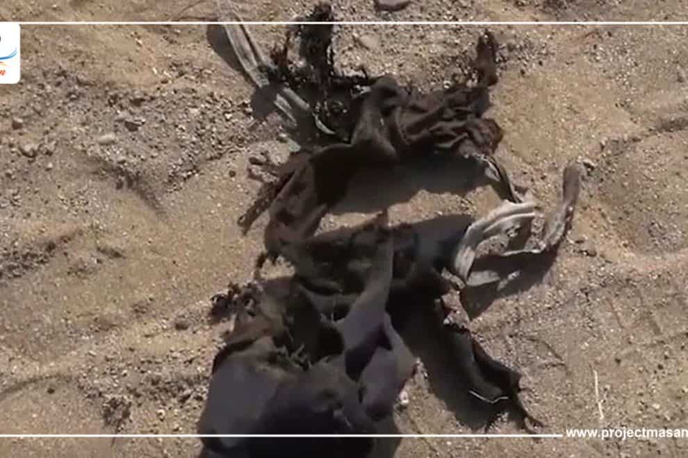 مقتل طفل بانفجار لغم حوثي في محافظة البيضاء