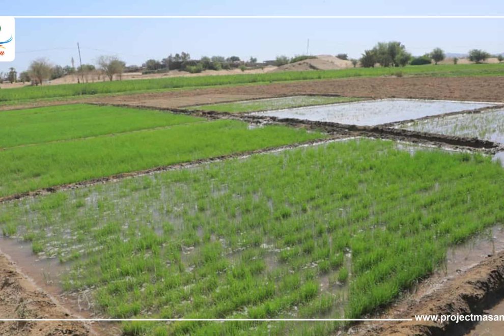 WhatsApp Image 2023 05 17 at 17.46.10