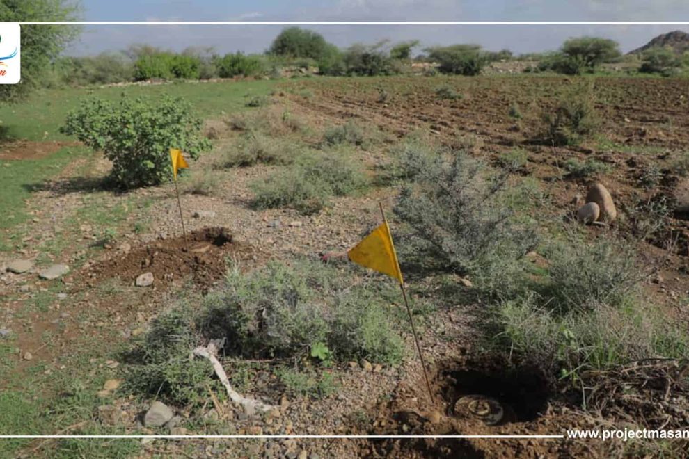 مزرعة العودة 2