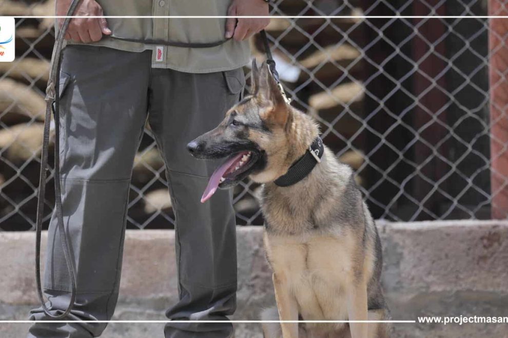 WhatsApp Image 2023 09 18 at 12.19.42 AM