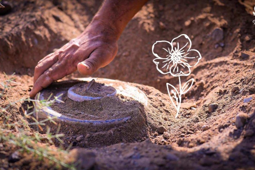 WhatsApp Image 2024 05 28 at 00.26.02