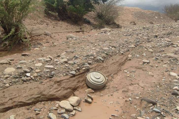 WhatsApp Image 2024 08 02 at 22.23.09