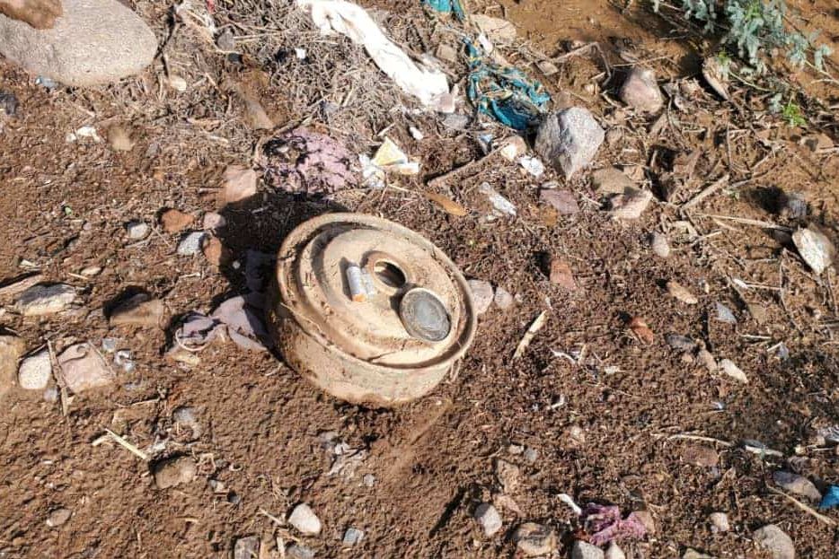 WhatsApp Image 2024 08 08 at 10.53.47