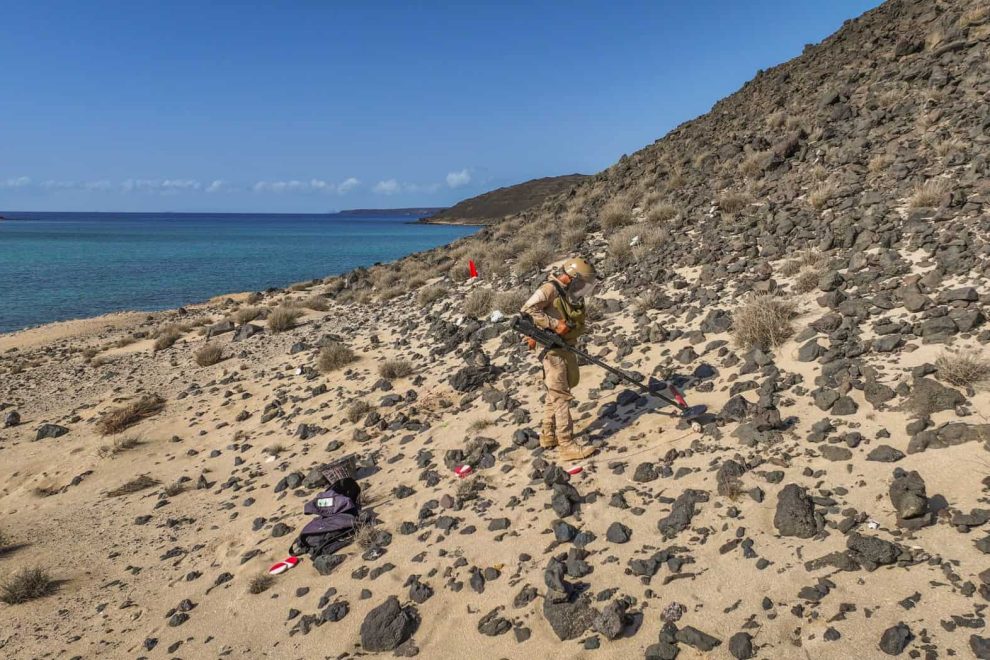 WhatsApp Image 2024 11 05 at 00.39.502