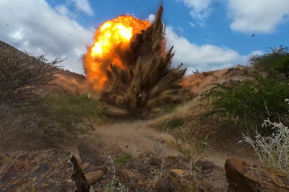 WhatsApp Image 2024 11 28 at 16.55.56