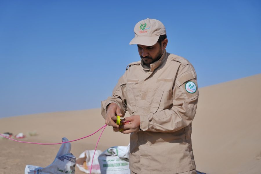 مسام يتلف كميات من الألغام في رغوان بمأرب في اليمن