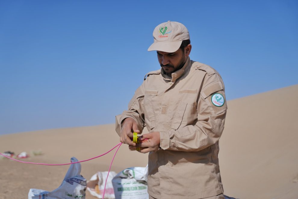 WhatsApp Image 2025 02 23 at 4.23.44 PM