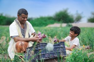 الرئيسية 6 4b2bfe2d b2ec 4b79 9cbf a9b529d0b106