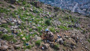 الرئيسية 8 WhatsApp Image 2025 09 12 at 8.14.29 PM