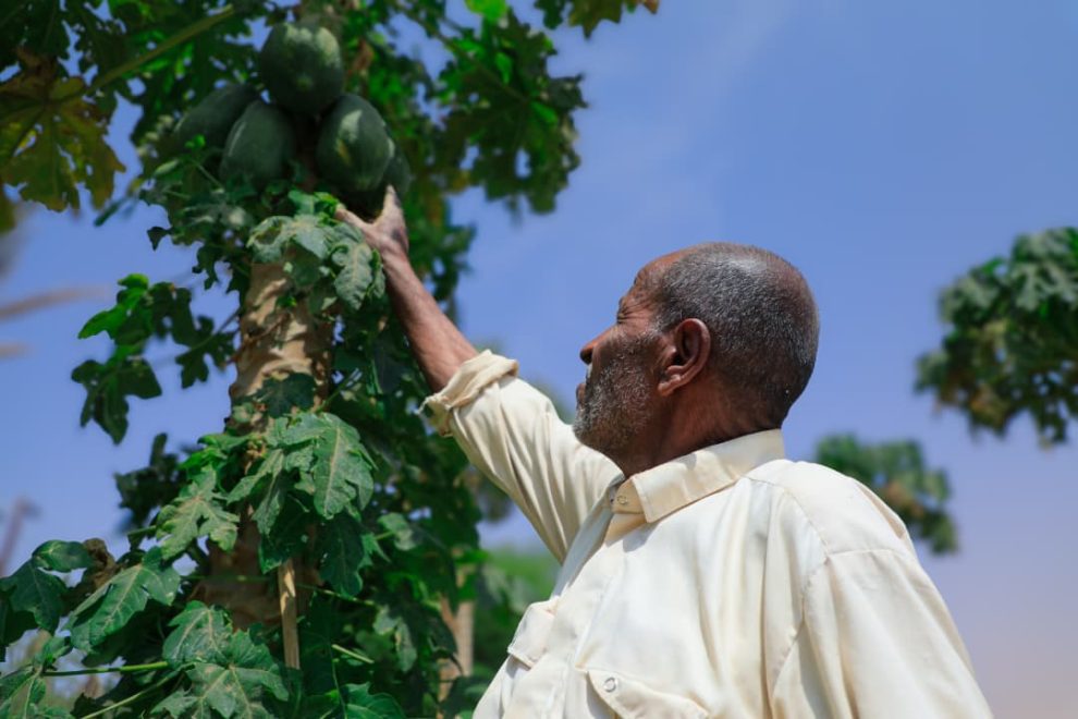 WhatsApp Image 2025 10 13 at 12.14.11 PM