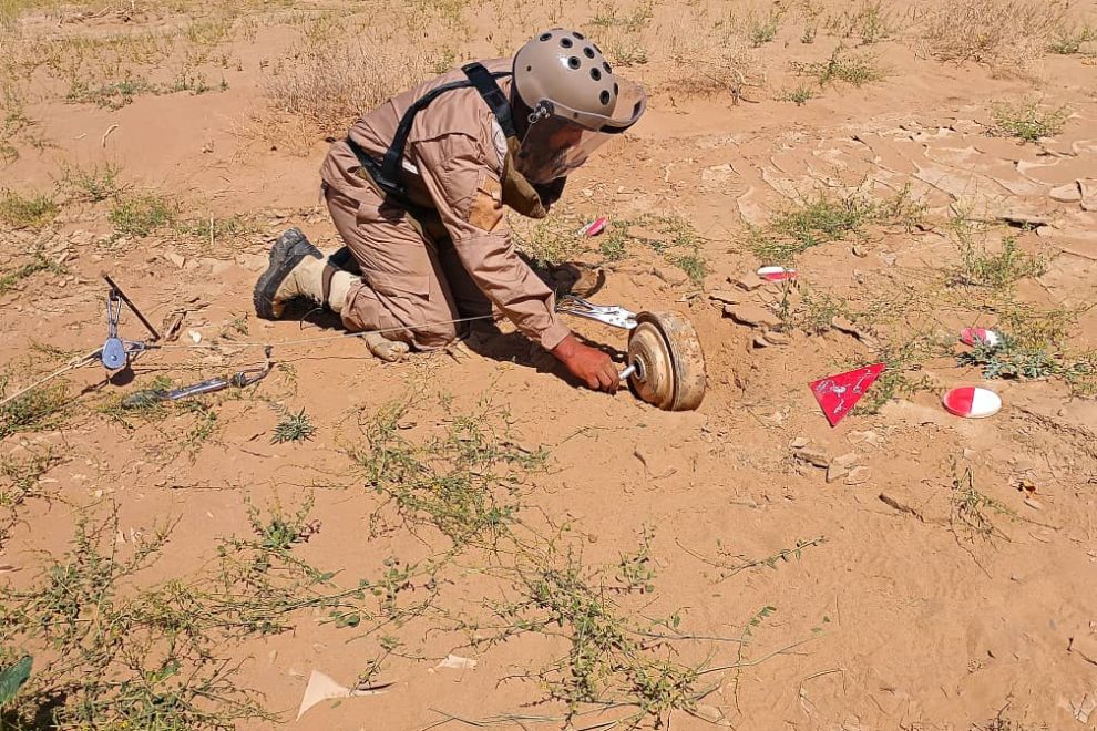 WhatsApp Image 2025 10 13 at 12.18.31 PM