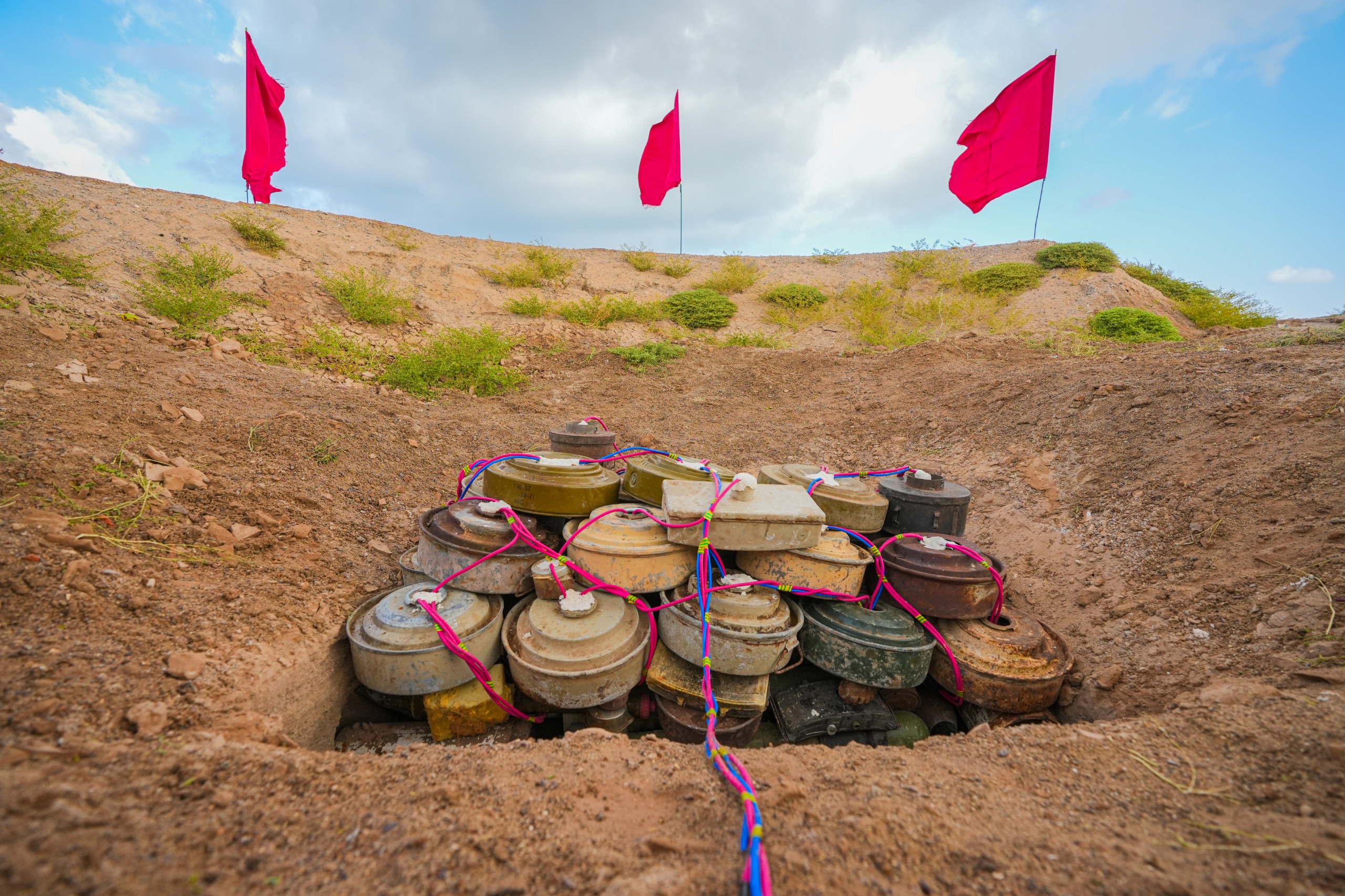 WhatsApp Image 2025 11 19 at 15.46.57