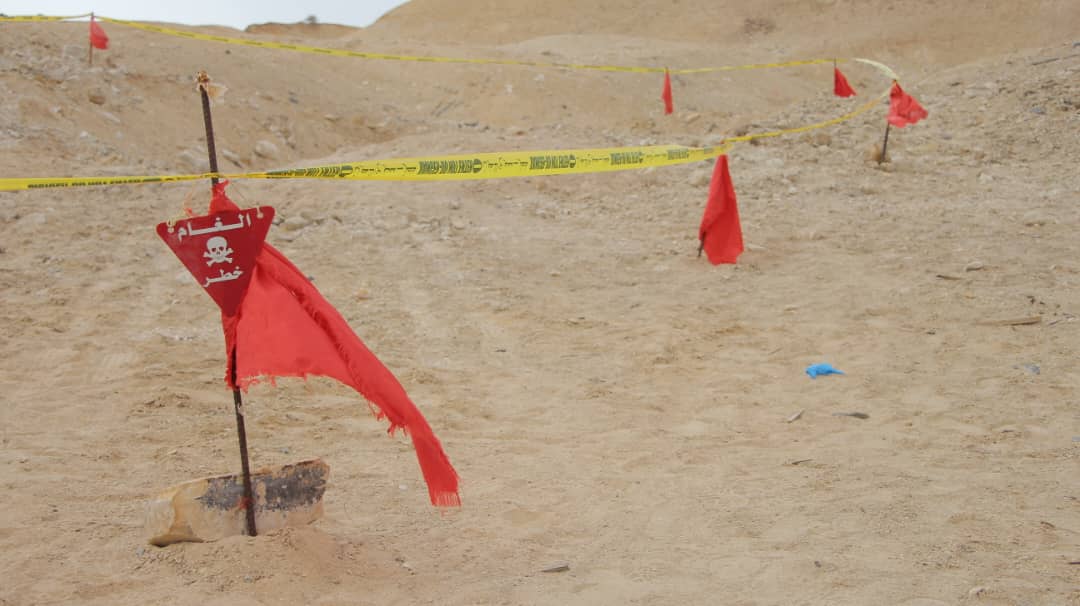 WhatsApp Image 2026 01 17 at 19.25.161