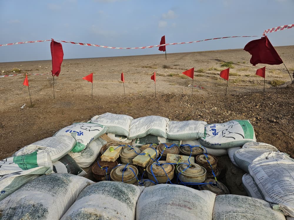 WhatsApp Image 2026 02 12 at 12.49.26 1