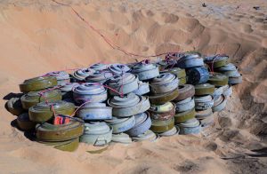 WhatsApp Image 2026 02 16 at 10.58.10