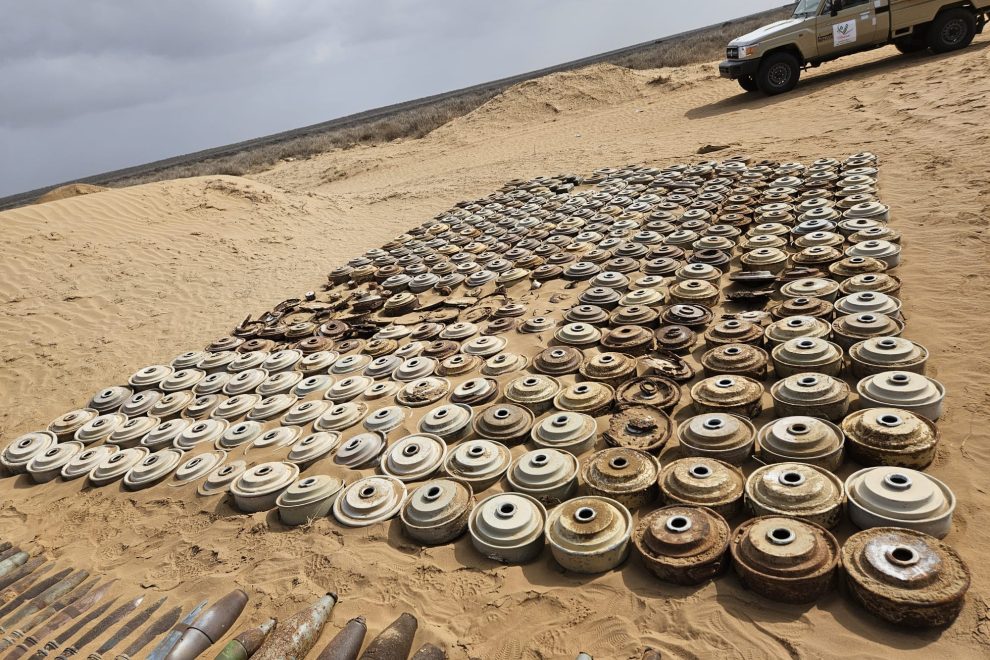 WhatsApp Image 2026 02 07 at 11.07.01 1