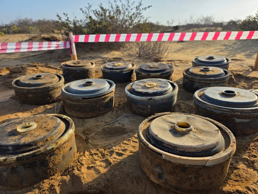 Plastic Large Houthi AT MInes