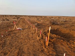 WhatsApp Image 2026 02 04 at 10.47.01