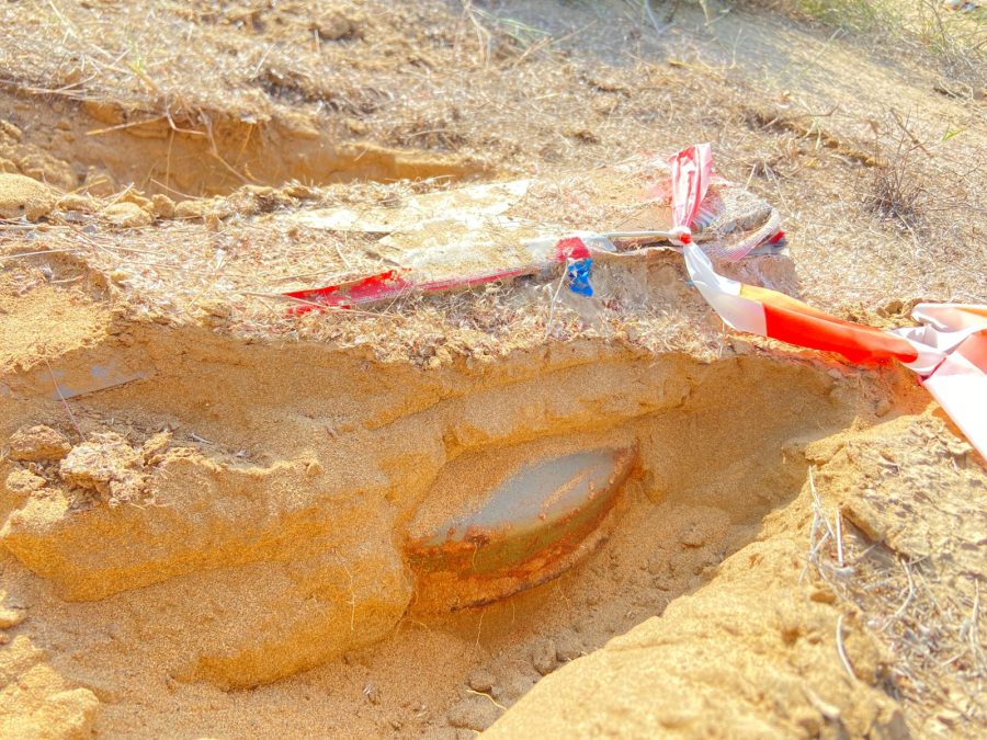 WhatsApp Image 2026-02-10 at 20.34.55