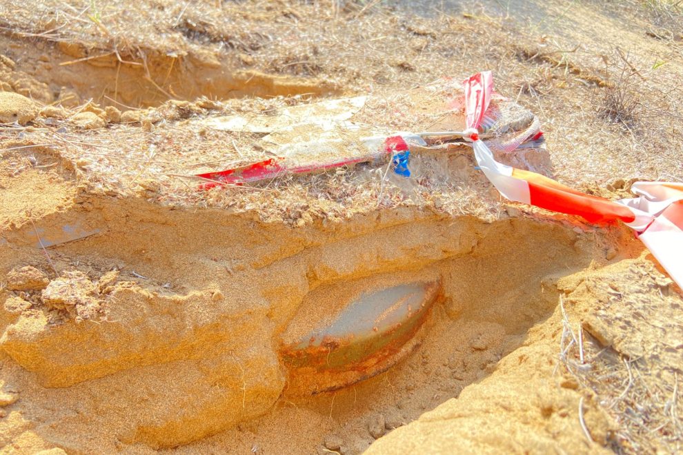 WhatsApp Image 2026 02 10 at 20.34.55