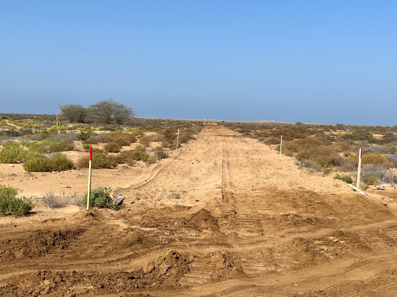 أكثر من 78 مليون متر مطهرة بجهود “مسام” في اليمن