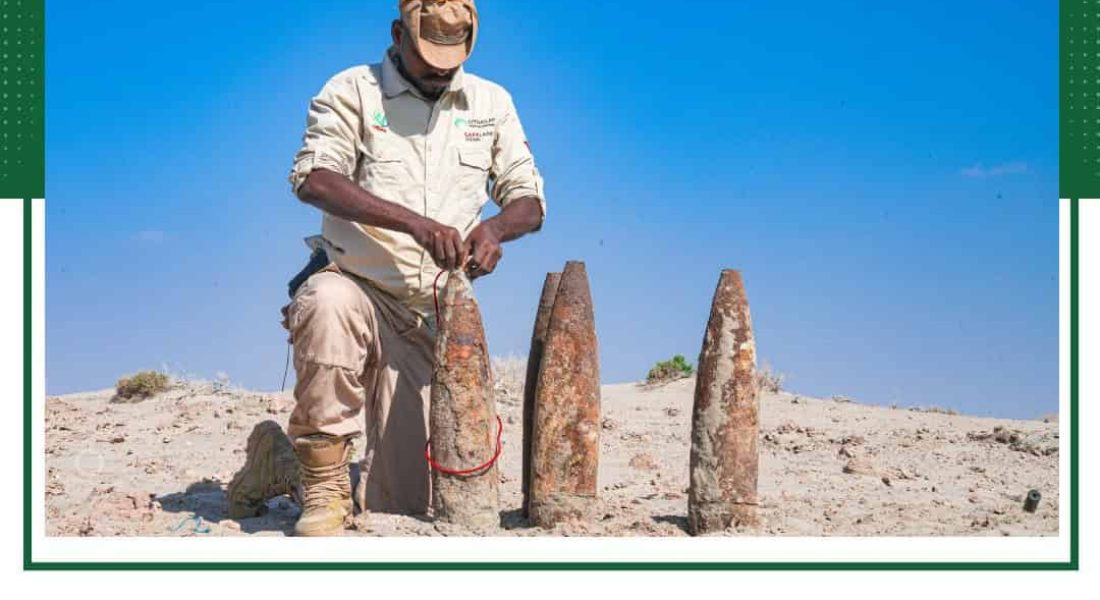 20ece45f-2ef5-47c6-9307-fa1d4e914b48