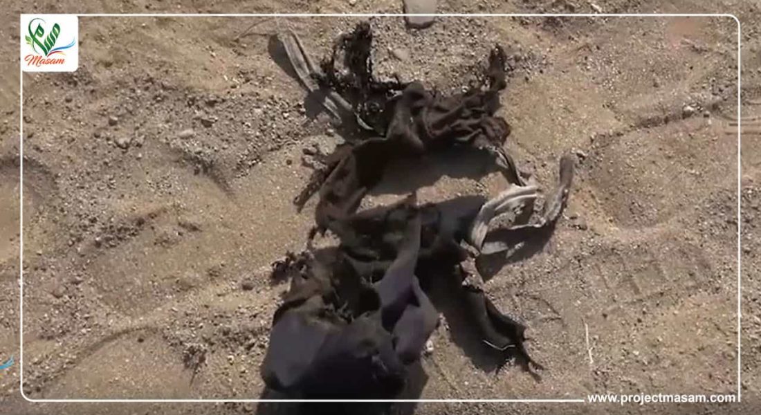 ضبطت قوات الحزام الأمني سيارة مفخخة، قادمة من محافظة تعز اليمنية وفي طريقها إلى العاصمة المؤقتة عدن.