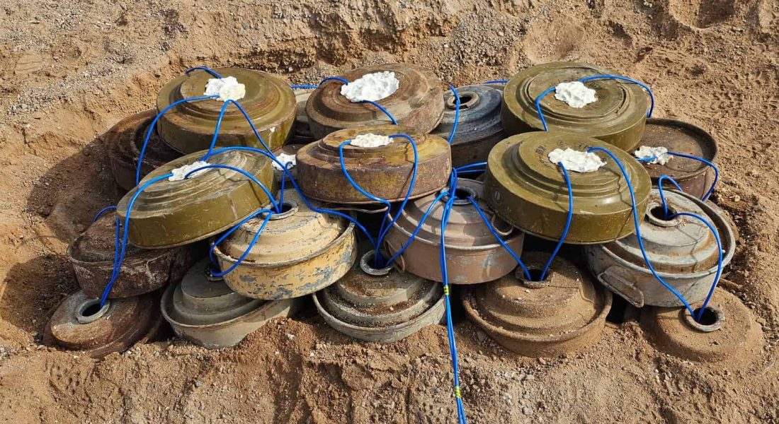 WhatsApp Image 2025-08-06 at 1.10.33 PM