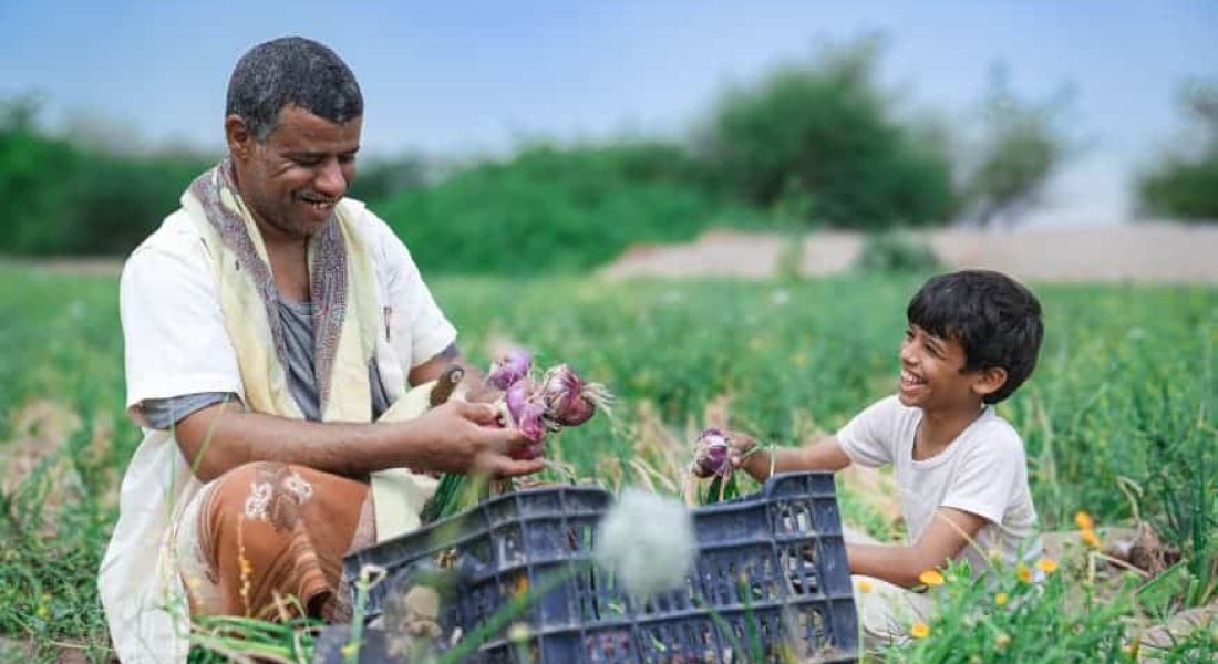 WhatsApp Image 2025-09-21 at 9.46.47 PM