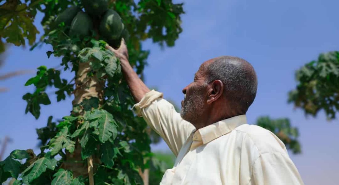 WhatsApp Image 2025-10-13 at 12.14.11 PM