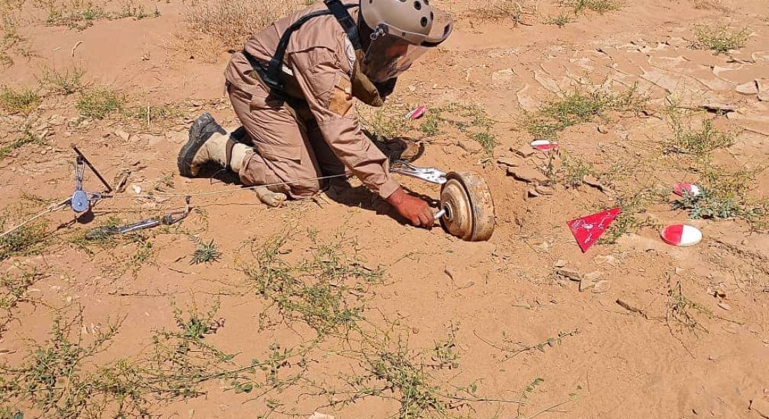 WhatsApp Image 2025-10-13 at 12.18.31 PM