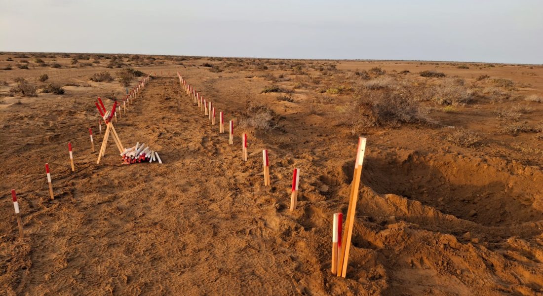 WhatsApp Image 2026-02-04 at 10.47.01