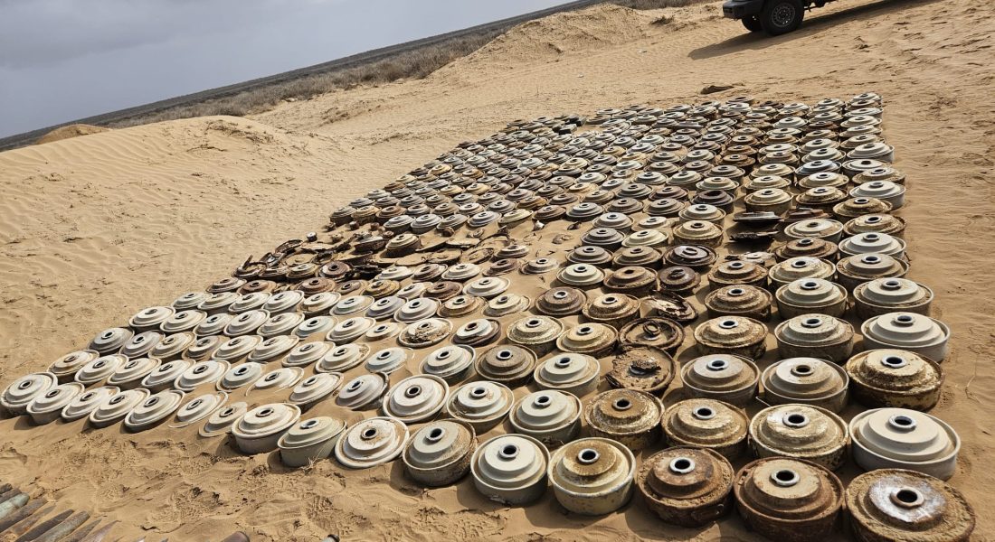 WhatsApp Image 2026-02-07 at 11.07.01 (1)