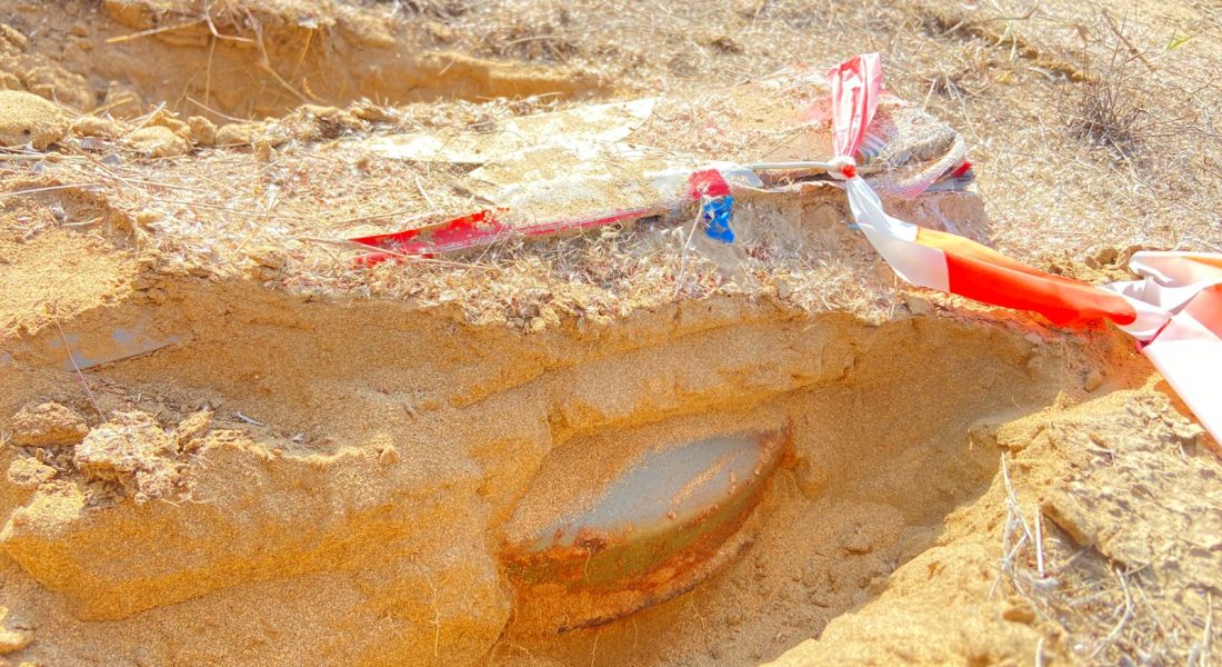 WhatsApp Image 2026-02-10 at 20.34.55