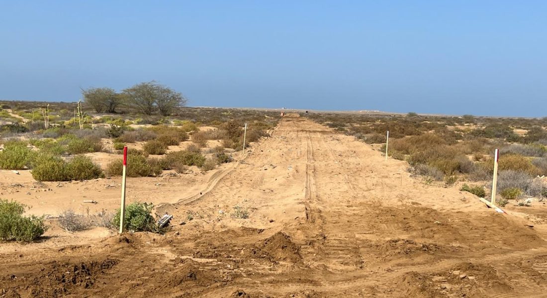 WhatsApp Image 2026-02-11 at 18.36.26 (5)