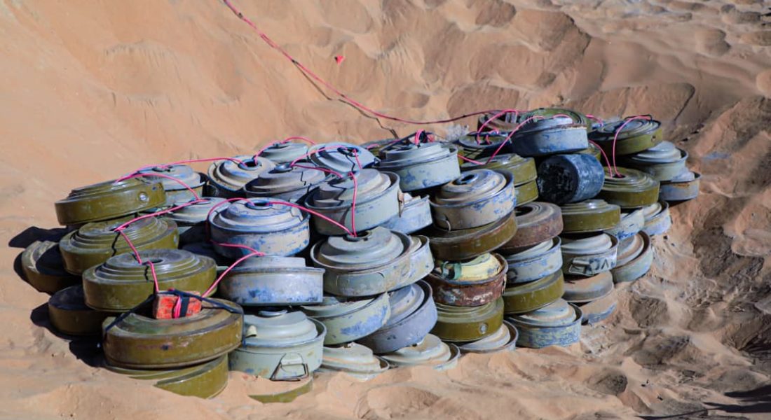 WhatsApp Image 2026-02-16 at 10.58.10