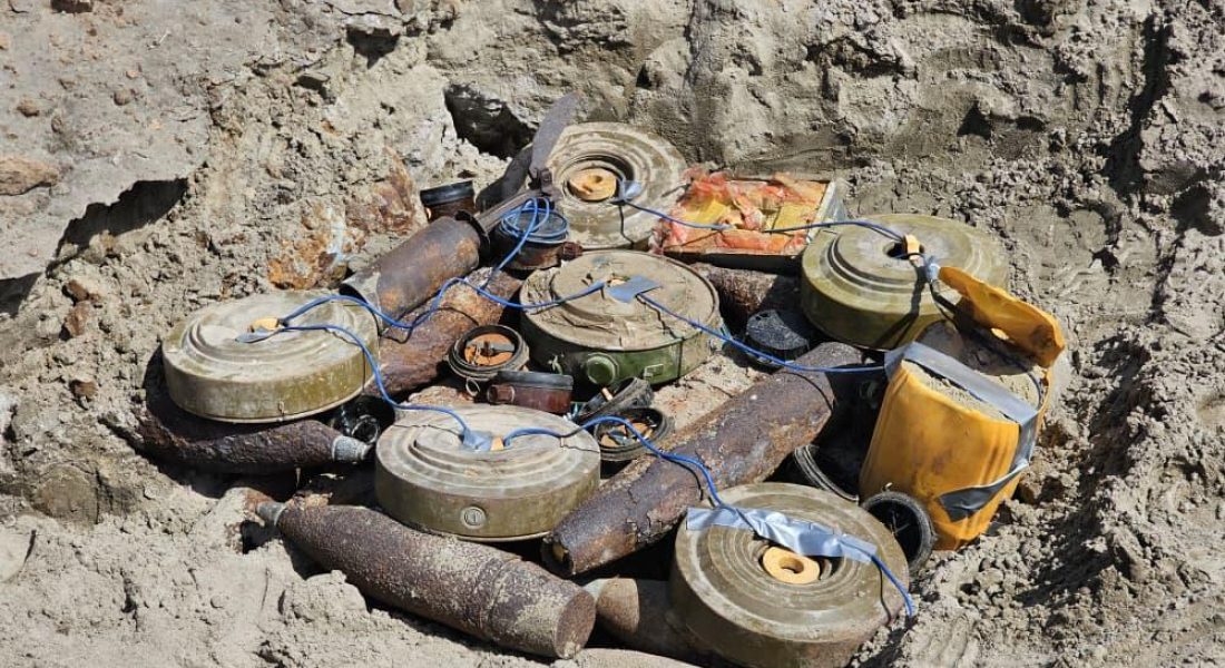 WhatsApp Image 2026-04-16 at 12.24.19